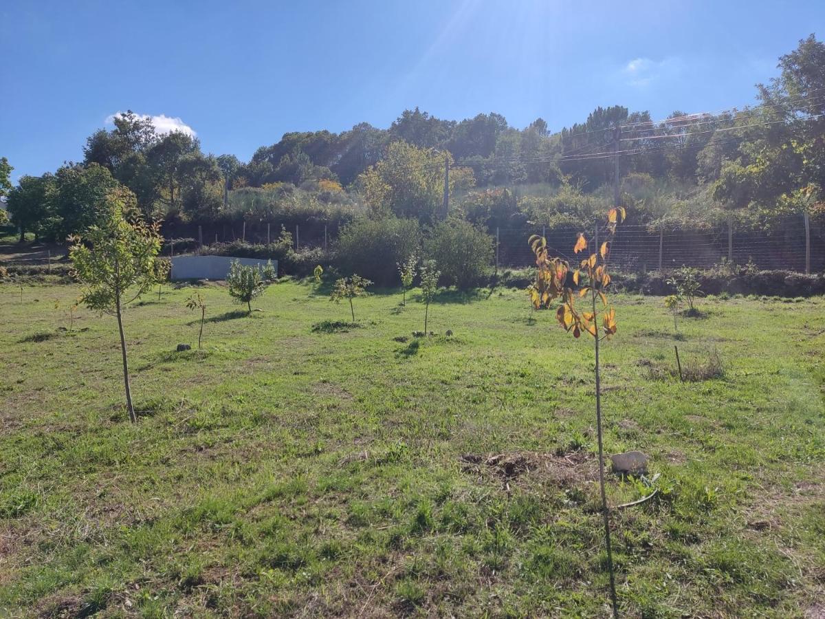 Tinyhouse Rossas Villa Santa Comba de Rossas Eksteriør bilde